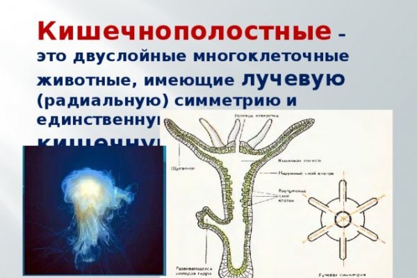 Кракен что за сайт