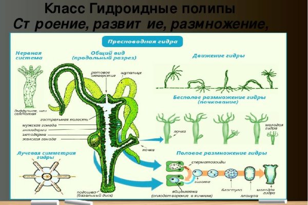 Как зайти на кракен с айфона